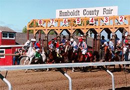 Humbolt County Fair