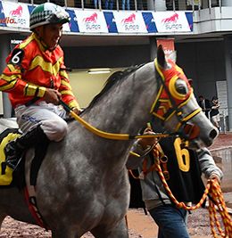 Luis Prieto Zamudio