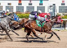 Rf Imperial Choice (#5) defeats Wish U Were Whiskey (#2) in the second trial Wednesday.
