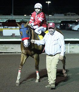 Out Of The Way returns after winning the biggest race of his career at The Downs Saturday night.