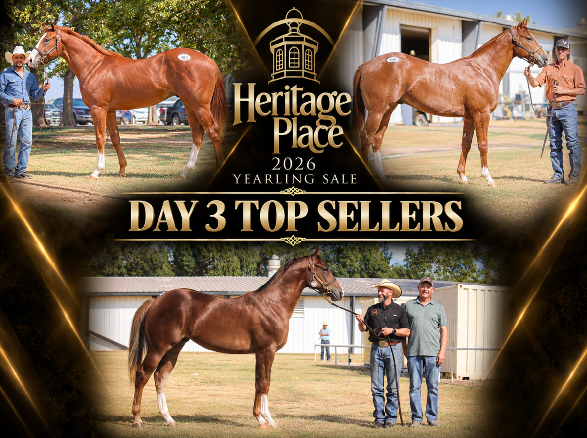 2026 HERITAGE PLACE YEARLING SALE RECAP—SESSION 3 (VIDEO)