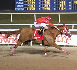 A Double Corona winning the $475,851 LQHBA Sale Futurity(RG1) at Evangeline Downs.