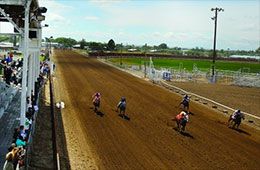Jerome County Fair