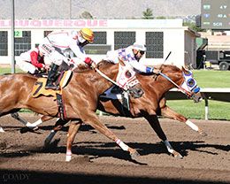 Ajs Wingman (#2), under jockey Ramiro Garcia, sets the fourth fastest time in Trial 15 on Monday.