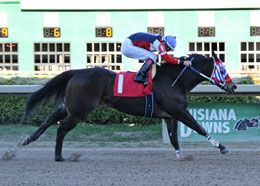 Worlds On High show winning the Maganolia Stakes.