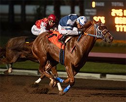 Devils Tower, under jockey Martin Arriaga, qualified in the opening trial Sunday night.