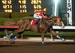 Los Alamitos Two Million Futurity runner-up and second fastest Winter Derby qualifier Brown Coffeee.