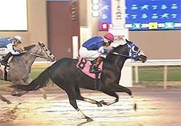 Shezinnocent, under jockey Ruben Castro, breaks her maiden at Remington Park April 3.