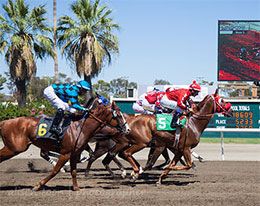 Cal Expo