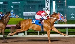 Wake Up Lil Suze, under jockey Henry Lopez, breaks her maiden at Los Alamitos Saturday night.