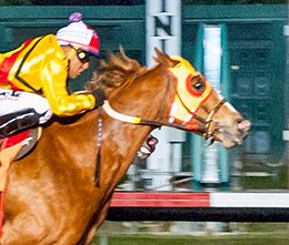 Los Alamitos
