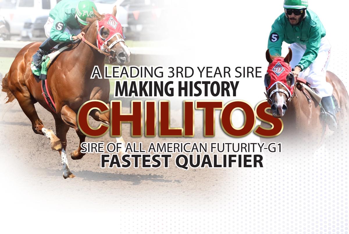 Chilitos Continues To Make History With Record-Setting Runners
