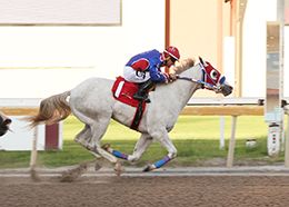 Calling Chicks wins the fifth trial of the evening on Thursday at Remington Park to post the top qualifying time on the first night of trials for the Grade 1 Heritage Place Futurity.