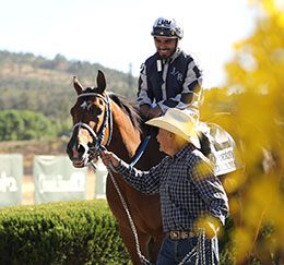 Ruidoso QH Derby winner Fdd Dreams walks to the winner's circle at Ruidoso Downs on Saturday.