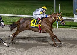 Hodges Photography