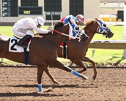 Bold N Beautiful (#1) defeats fellow qualifier Karmalites (#2) in the opening trial on Wednesday at The Downs.