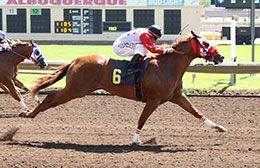 Kj Equizit Jess, under jockey Emilio Tapia, posted the second fastest time in the opening trial on Day 2.