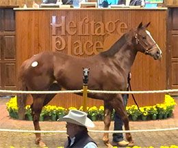 Heritage Place Sale Company