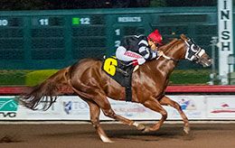 Call Me Cole, under jockey Jesus Ayala, setting the fastest qualifying time from 10 trails to the $1,745,450 Los Alamitos Two Million Futurity(G1).