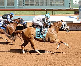 Merkaba, under jockey Jacob Enriquez, won the trial 14 today at Ruidoso Downs.