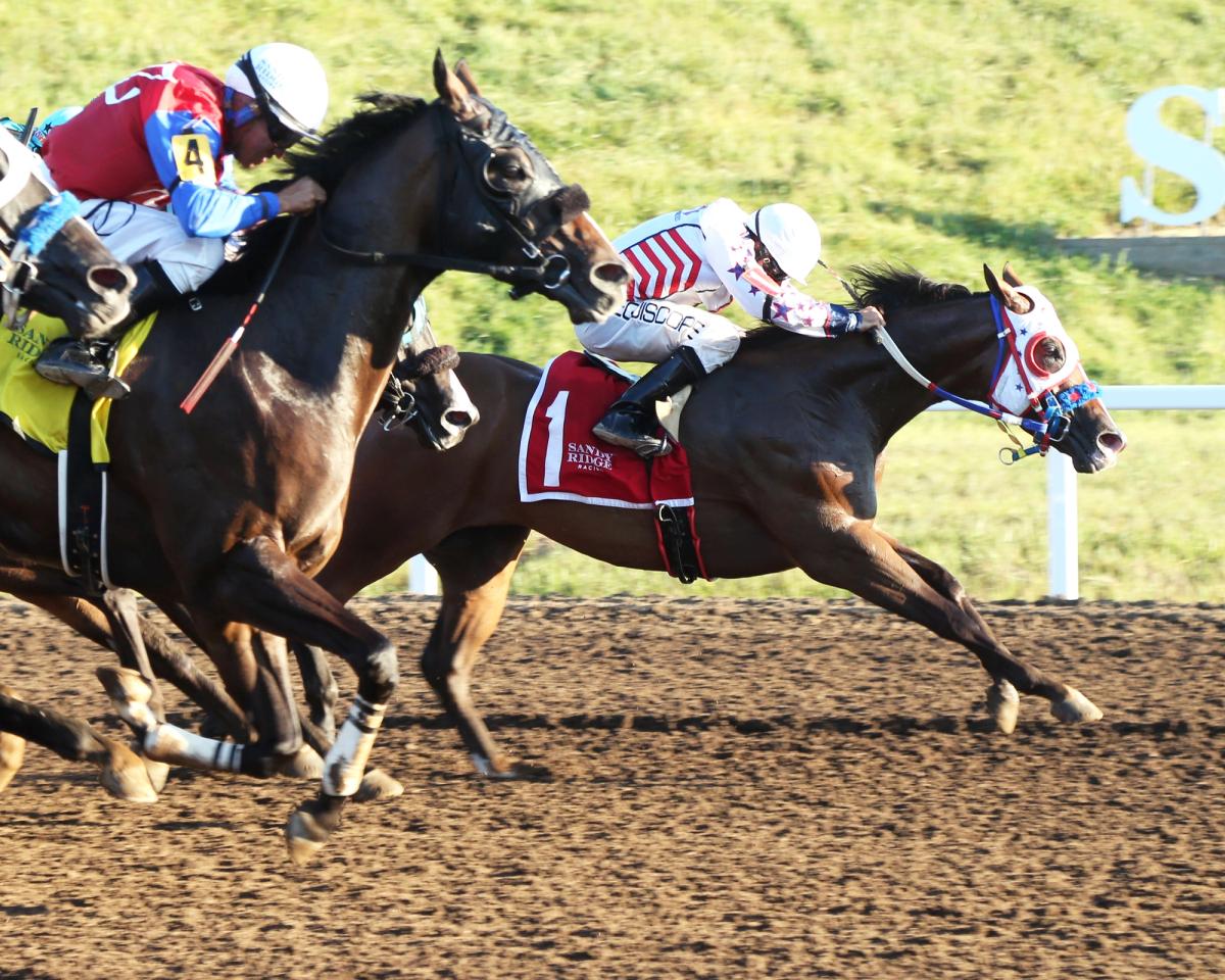 Jd Heza Paintedeagle Scores Third Straight in $102,000 Cherokee Overnight Stakes