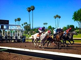 Ima Sexy Man, ridden by Epifanio Garcia, wins the $20,000 Jack Robinson on Thursday at the Alameda County Fair.