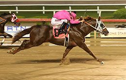 San Lencho qualifying for the Grade 1 $1176,156 Texas Classic Futurity(G1) at Lone Star Park.