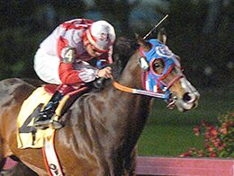 Los Alamitos