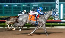 Los Alamitos