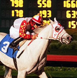 Los Alamitos