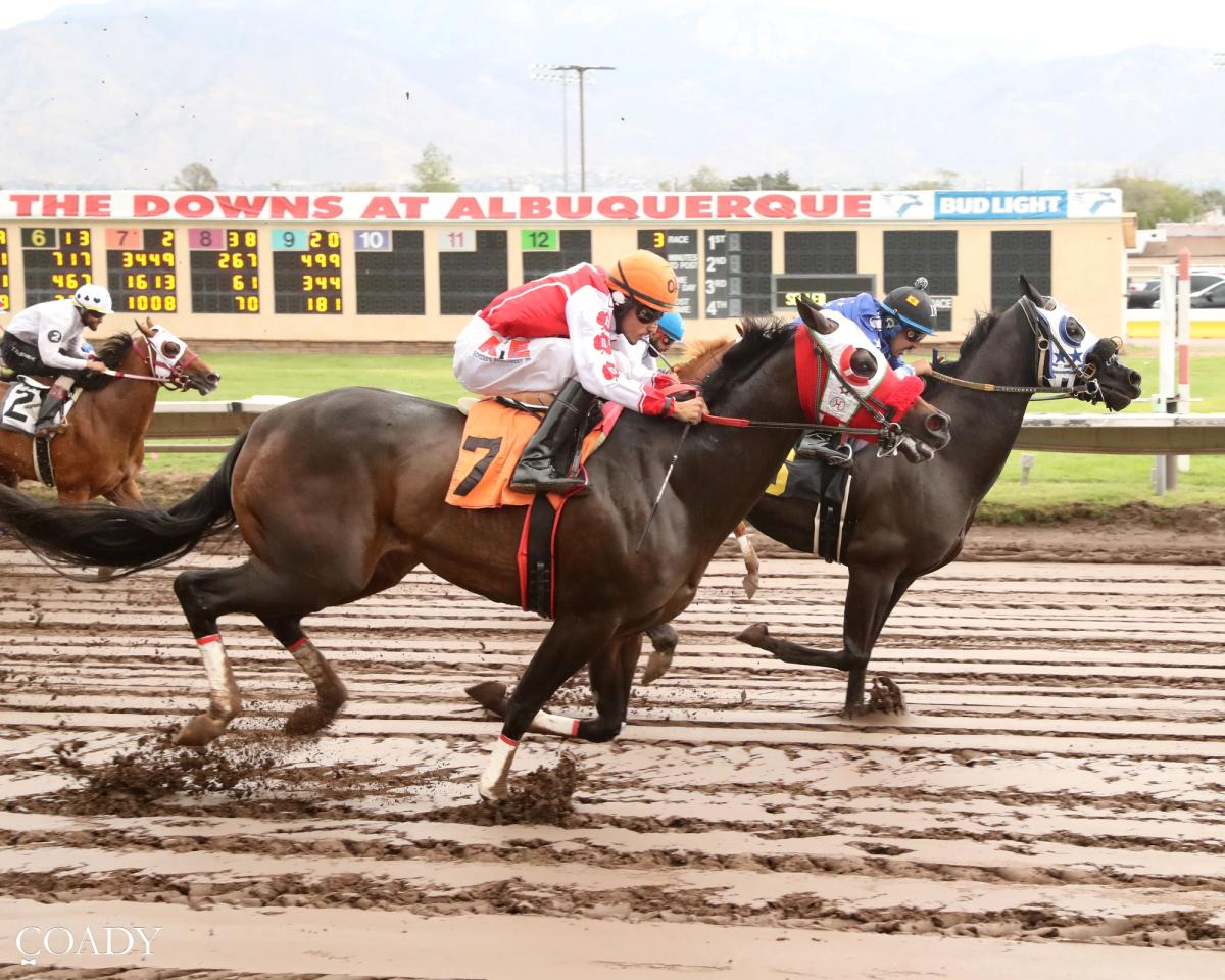 Angels In The Clouds Fastest in New Mexico State Fair Derby Trials