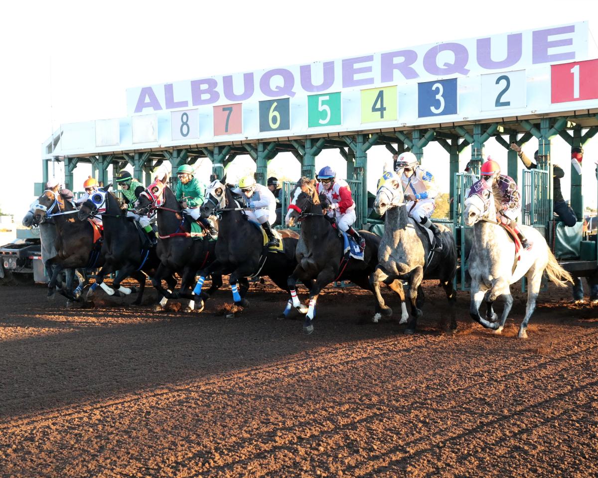 New Mexico State Fair Futurity Trials Canceled At Albuquerque