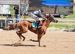 Jr Calender Girl, piloted by Jesus Valenzuela, set the fastest qualifying time tfr the Beehive Futurity on Saturday at Weber Downs.