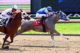 Elvis The Famous, under jockey Josh Scott, wins the second Ontario Bred Futurity trial on Wednesday.