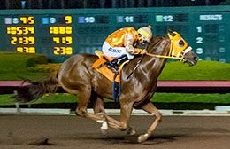 Gekko, under jockey Ruben Lozano, won the opening trials for the Los Alamitos Claiming Futurity on Sunday.
