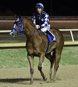 Diamond Cowgirl 123, under jockey Christian Ramos, returns after winning the Texas Classic Juvenile Saturday night.