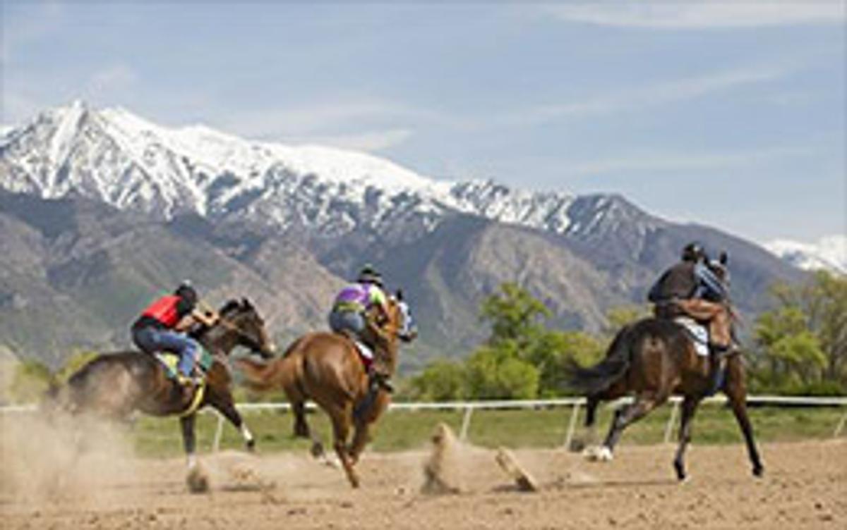 Silvers Creek Tops Hadley-Giles Futurity Qualifiers at Weber Downs