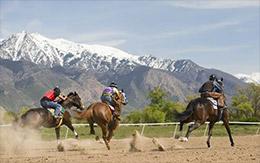 Silvers Creek Tops Hadley-Giles Futurity Qualifiers at Weber Downs