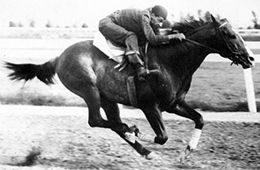 Robert Strauss working Go Man Go at Los Alamitos.