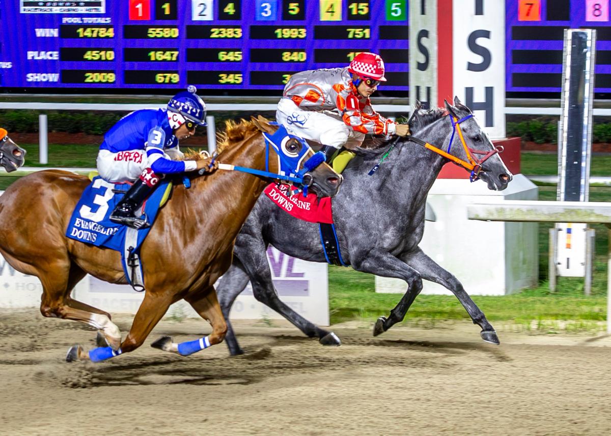 JJ Jessa Dynasty Holds On To Win EVD Dash Stakes