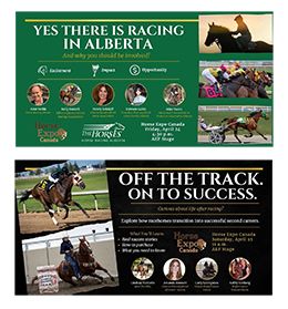 Horse Racing Alberta