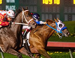 Los Alamitos