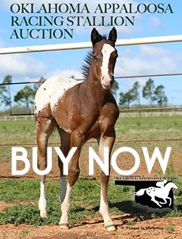 Oklahoma Appaloosa Racing Association Annual Stallion Service Auction is now offering a BUY NOW option.