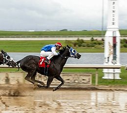 Ryan Haynes Photorgaphy