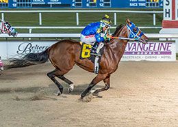Hodges Photography