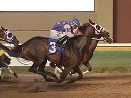 Dustin Orona Photography/Lone Star Park