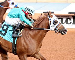 Russ Gus, under jockey Luis Martinez, posted the second fastest time in the final trial on Saturday.