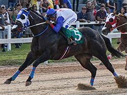 Quartel Fantastic winning the I Derby, he recorded a time of 16.620 seconds at a distance of 330 yards.