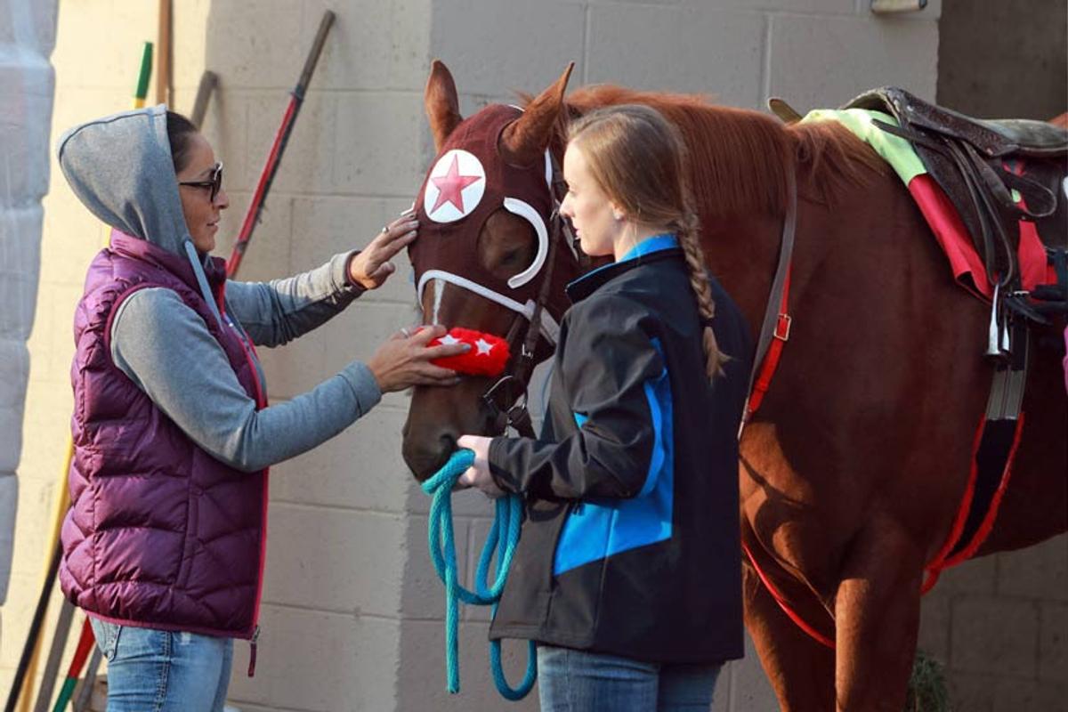 AQHA