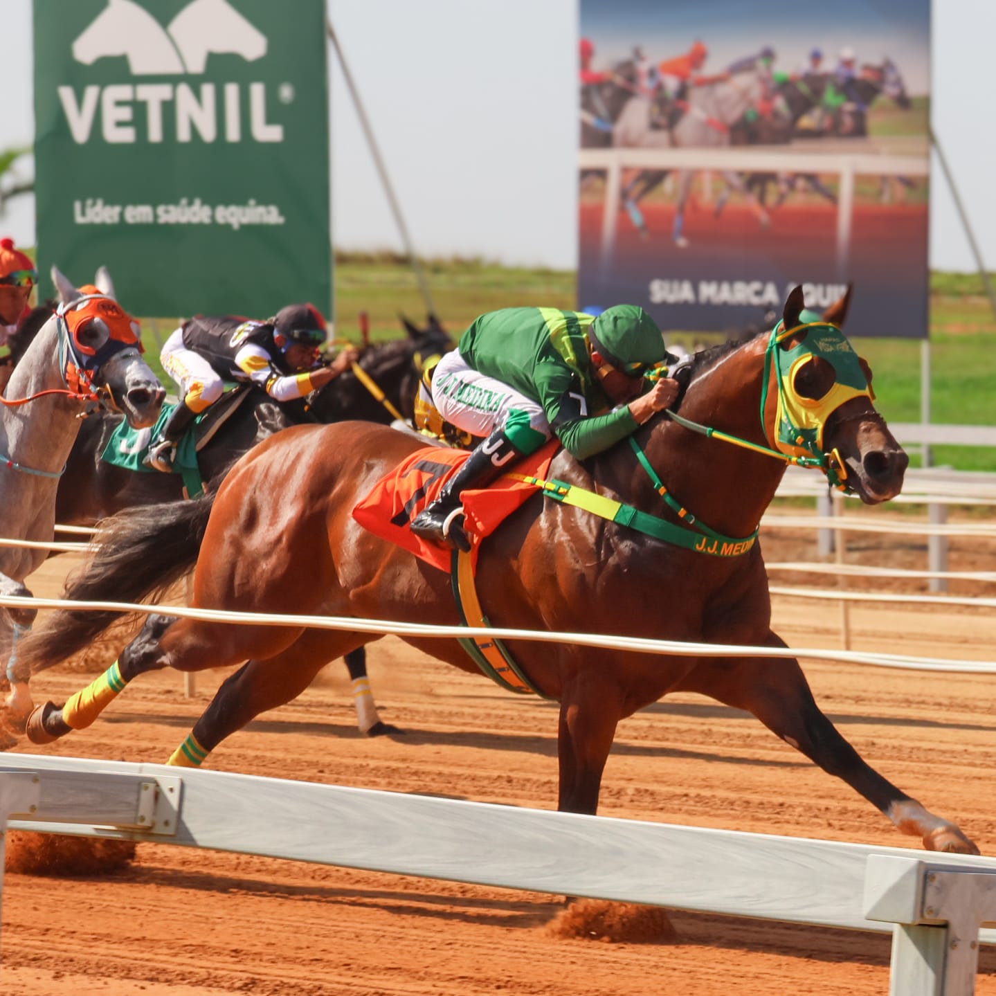 Hercules Verde Shows Clear Superiority in Brazil’s GP Taça de Prata